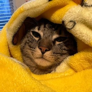 Meet your Posher, Nadia